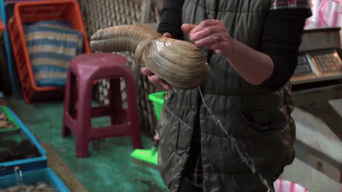 'Frick, I Love Nature' Is The Hilarious Canadian Nature Show You Need To Watch